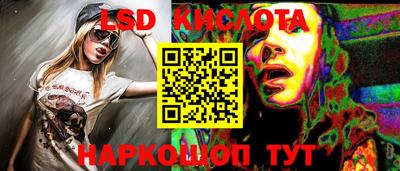 spice Камышлов